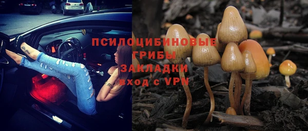 соль ск Нефтегорск