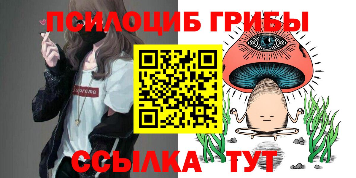 Галлюциногенные грибы Cubensis  Кулебаки 