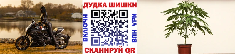 Бошки марихуана VHQ  магазин  наркотиков  hydra ONION  Кулебаки 